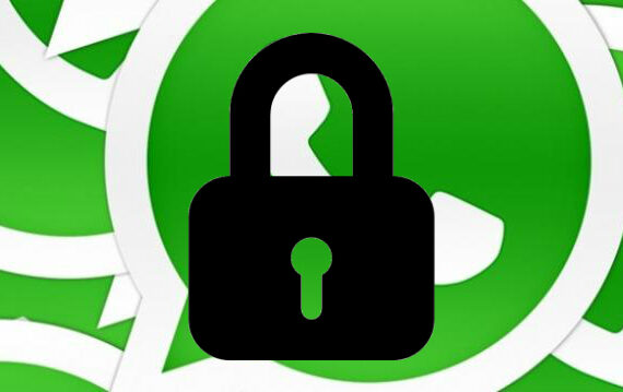 WhatsApp : une nouvelle faille de sécurité découverte